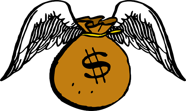 money-48103_640